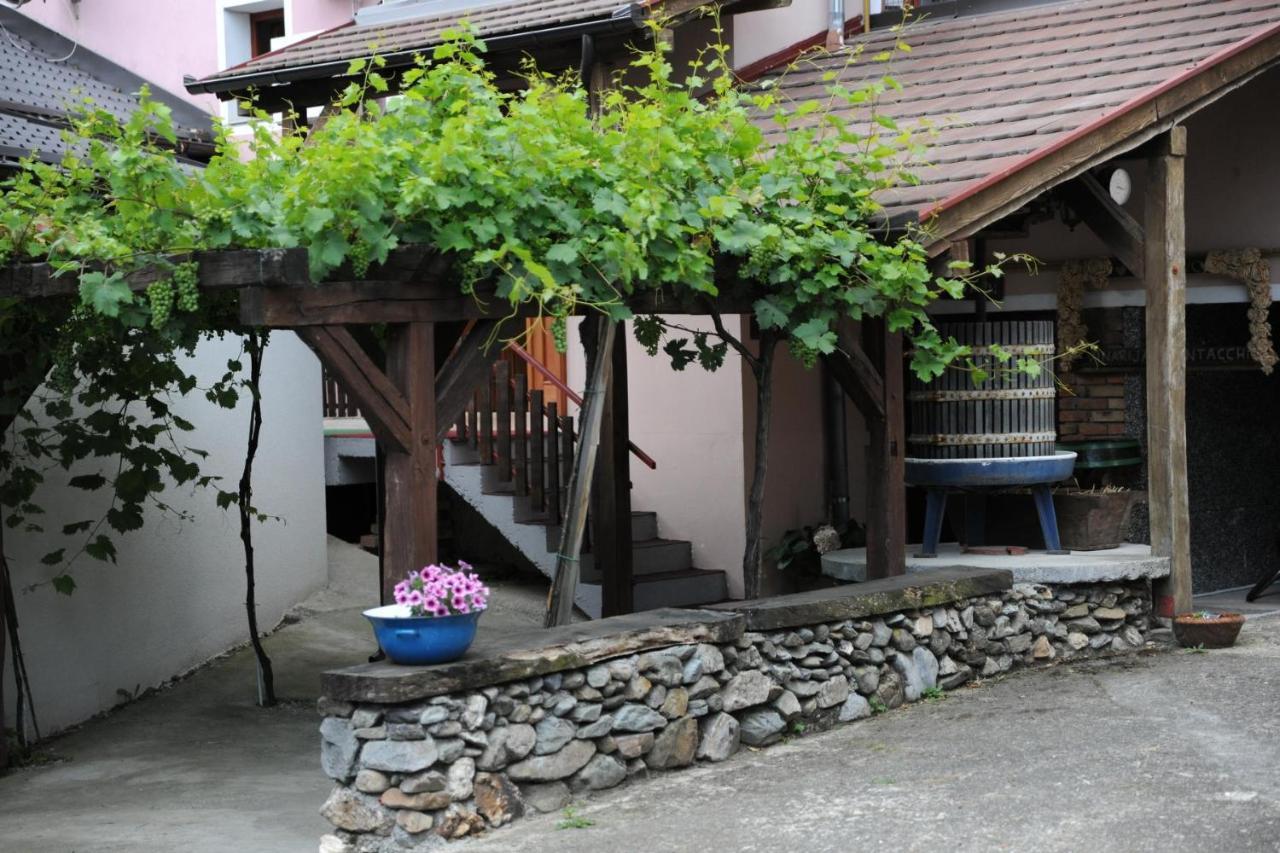 Wellness B&B Winery Sontacchi Kutjevo ภายนอก รูปภาพ